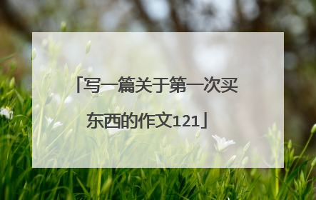 写一篇关于第一次买东西的作文121