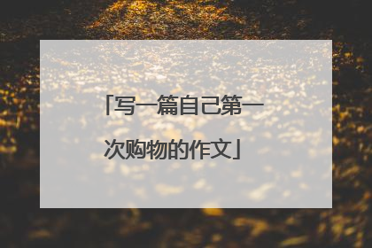 写一篇自己第一次购物的作文
