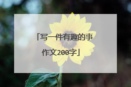 写一件有趣的事作文200字
