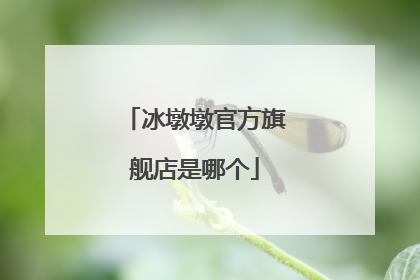 冰墩墩官方旗舰店是哪个