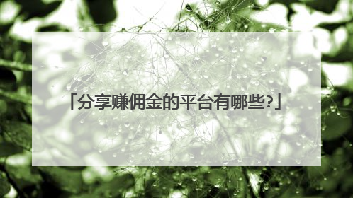 分享赚佣金的平台有哪些?