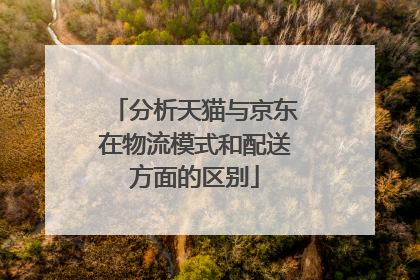 分析天猫与京东在物流模式和配送方面的区别