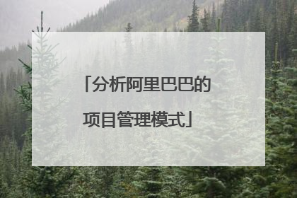 分析阿里巴巴的项目管理模式