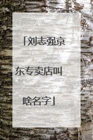 刘志强京东专卖店叫啥名字