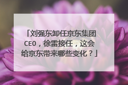 刘强东卸任京东集团 CEO，徐雷接任，这会给京东带来哪些变化？