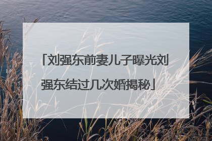 刘强东前妻儿子曝光刘强东结过几次婚揭秘