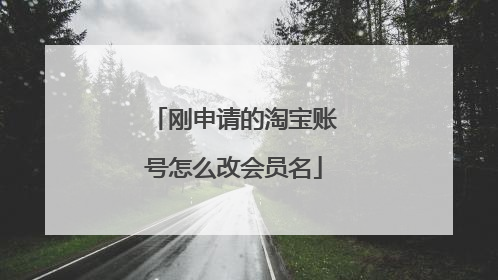 刚申请的淘宝账号怎么改会员名