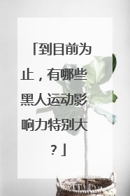 到目前为止,有哪些黑人运动影响力特别大?