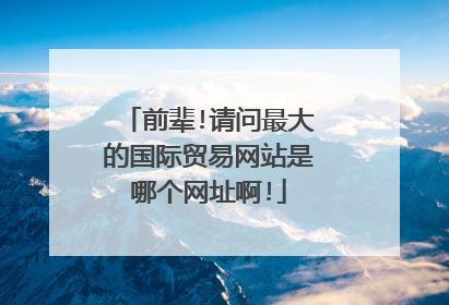 前辈!请问最大的国际贸易网站是哪个网址啊!