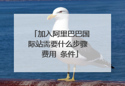 加入阿里巴巴国际站需要什么步骤 费用 条件