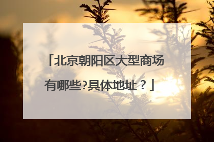 北京朝阳区大型商场有哪些?具体地址？