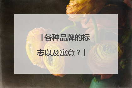 各种品牌的标志以及寓意？