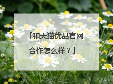 和天猫优品官网合作怎么样?