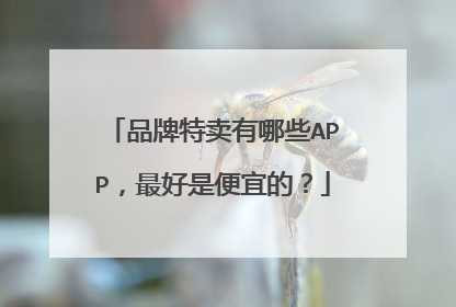 品牌特卖有哪些APP,最好是便宜的?