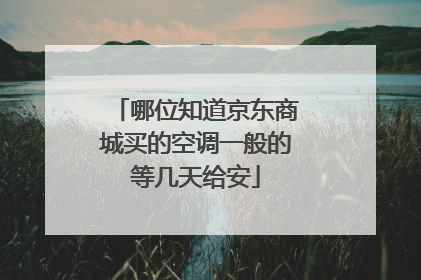 哪位知道京东商城买的空调一般的等几天给安