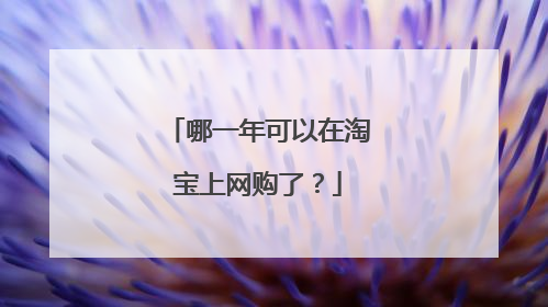 哪一年可以在淘宝上网购了？