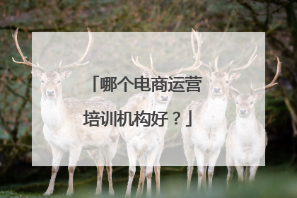 哪个电商运营培训机构好?