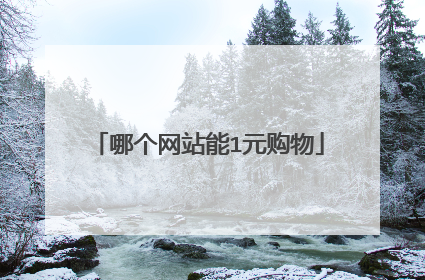 哪个网站能1元购物
