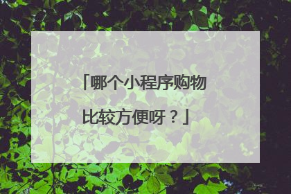 哪个小程序购物比较方便呀?