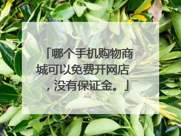哪个手机购物商城可以免费开网店,没有保证金。