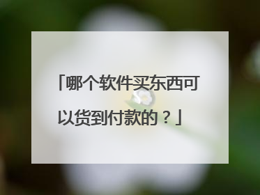 哪个软件买东西可以货到付款的？