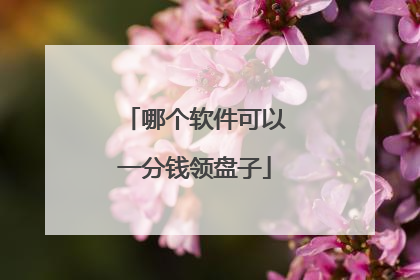 哪个软件可以一分钱领盘子