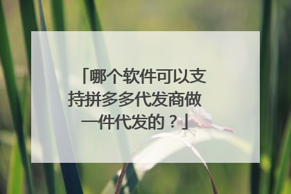 哪个软件可以支持拼多多代发商做一件代发的？