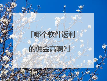 哪个软件返利的佣金高啊?