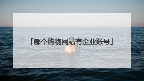 哪个购物网站有企业账号