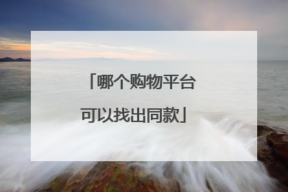 哪个购物平台可以找出同款