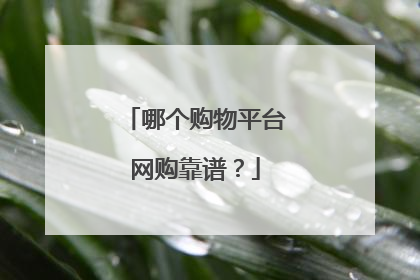哪个购物平台网购靠谱?
