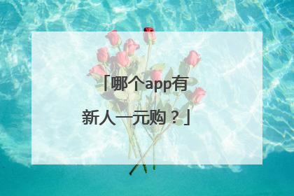 哪个app有新人一元购?