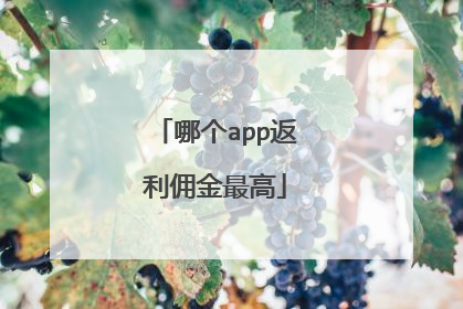 哪个app返利佣金最高