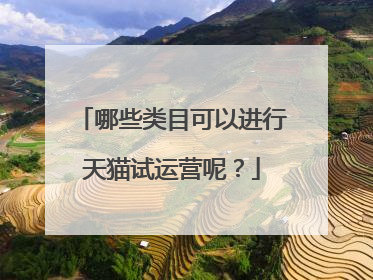 哪些类目可以进行天猫试运营呢？