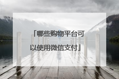 哪些购物平台可以使用微信支付