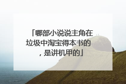 哪部小说说主角在垃圾中淘宝得本书的,是讲机甲的