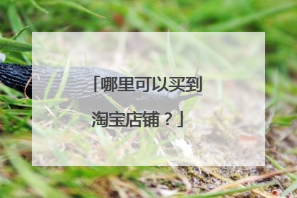 哪里可以买到淘宝店铺？