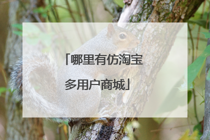 哪里有仿淘宝多用户商城