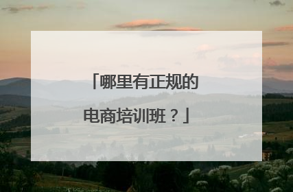 哪里有正规的电商培训班?