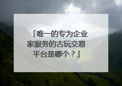 唯一的专为企业家服务的古玩交易平台是哪个？