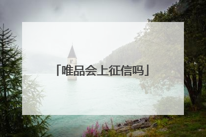 唯品会上征信吗