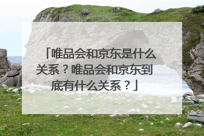 唯品会和京东是什么关系？唯品会和京东到底有什么关系？