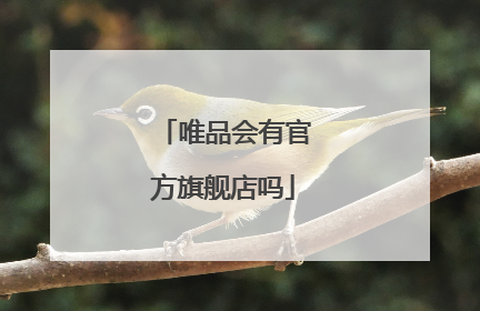 唯品会有官方旗舰店吗