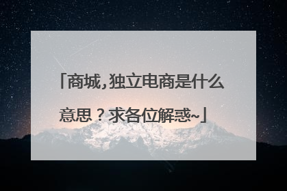 商城,独立电商是什么意思?求各位解惑~