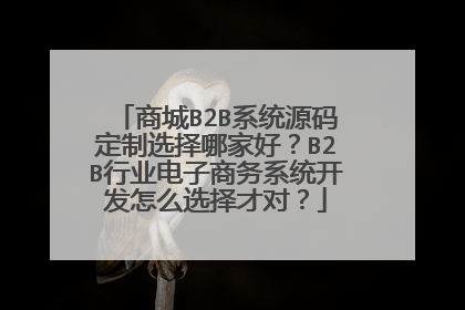 商城B2B系统源码定制选择哪家好?B2B行业电子商务系统开发怎么选择才对?