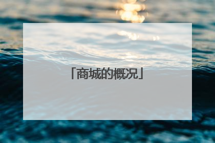 商城的概况