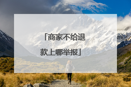 商家不给退款上哪举报