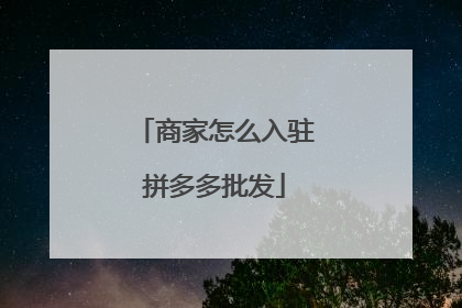商家怎么入驻拼多多批发