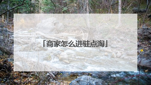 商家怎么进驻点淘