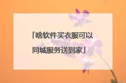 啥软件买衣服可以同城服务送到家